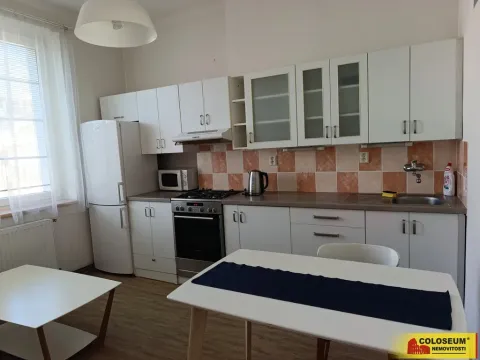 Pronájem bytu 1+1, Brno - Veveří, 57 m2