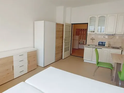 Pronájem bytu 1+kk, Praha - Vinohrady, Ondříčkova, 31 m2
