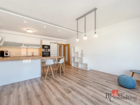 Pronájem bytu 2+kk, Praha - Holešovice, Na Maninách, 60 m2