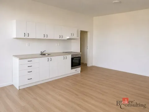 Pronájem bytu 1+kk, Ostrava - Přívoz, Křišťanova, 43 m2