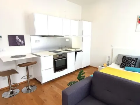 Pronájem bytu 1+kk, Praha - Libeň, Lihovarská, 28 m2