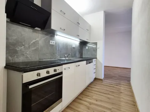 Pronájem bytu 2+kk, České Budějovice, Větrná, 55 m2
