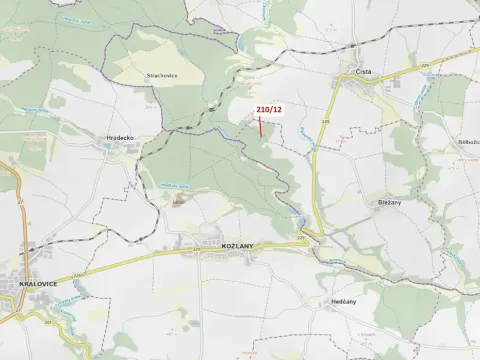 Dražba lesa, Břežany, 833 m2