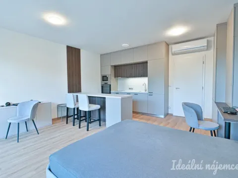 Pronájem bytu 1+kk, Brno, Hybešova, 46 m2