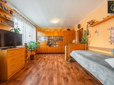 Pronájem bytu 1+kk, Kladno, V Bažantnici, 33 m2