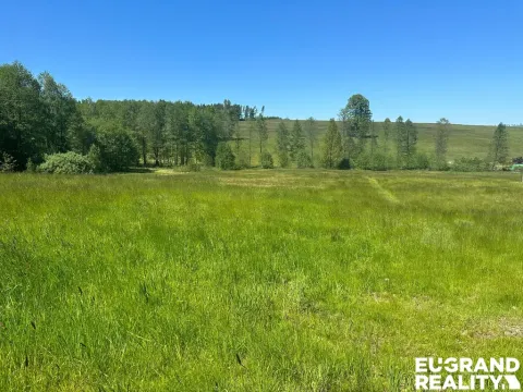 Prodej pozemku pro bydlení, Šluknov - Rožany, 6268 m2