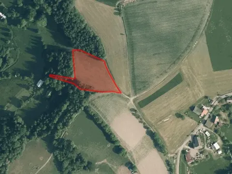 Prodej louky, Zlatá Olešnice, 6018 m2