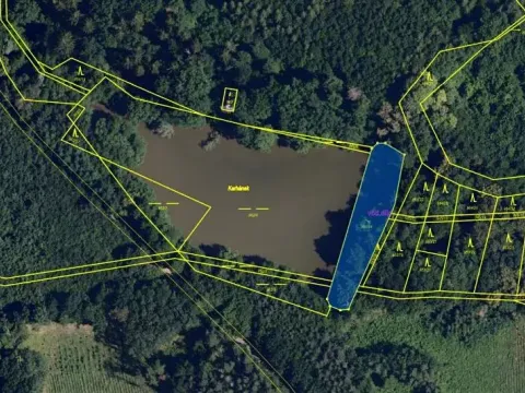Pronájem rybníku, Prštice, 9975 m2