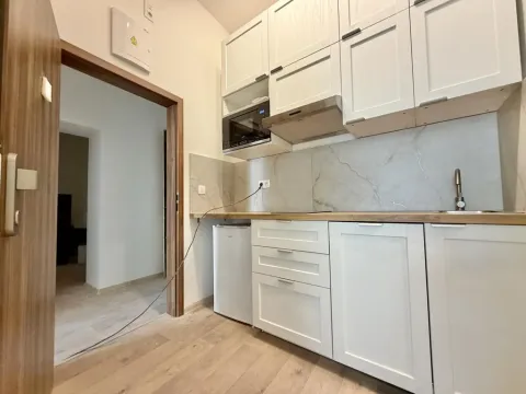 Pronájem bytu 1+kk, Praha - Nové Město, Kateřinská, 30 m2