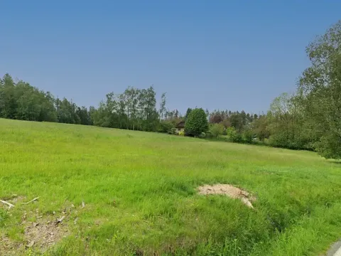 Prodej pozemku pro bydlení, Rušinov, 3343 m2