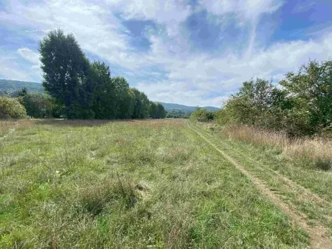 Dražba louky, Všenory, 601 m2