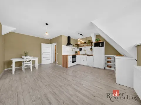 Prodej bytu 3+kk, Opava - Předměstí, Olomoucká, 55 m2