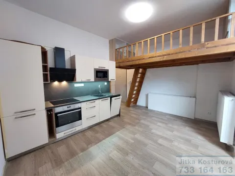 Pronájem bytu 1+kk, Opava - Předměstí, Nákladní, 32 m2