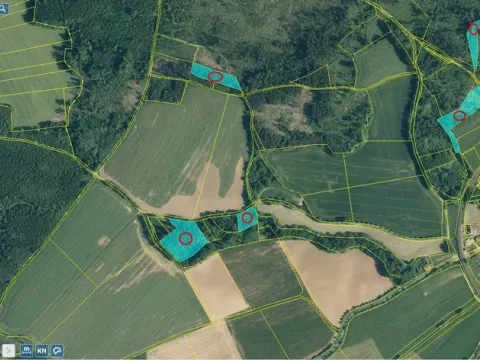 Prodej lesa, Spáňov, 24210 m2
