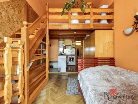 Prodej bytu 1+kk, Praha - Nusle, Spytihněvova, 24 m2
