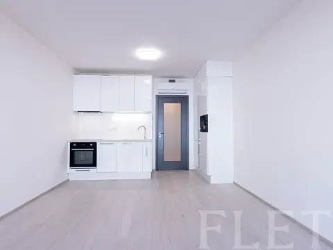 Pronájem bytu 1+kk, Praha - Žižkov, Jana Želivského, 33 m2