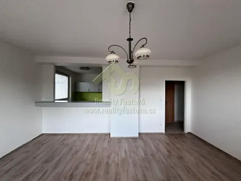 Pronájem bytu 1+1, Plzeň, Karlovarská, 44 m2