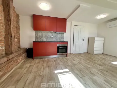 Pronájem bytu 1+kk, Brno, Bašty, 34 m2