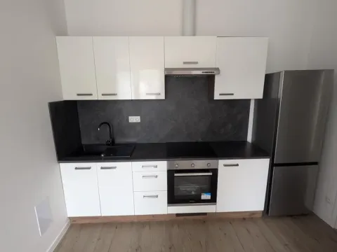 Pronájem bytu 2+kk, Most, Františka Halase, 54 m2