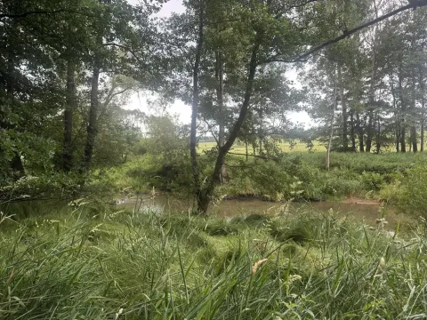 Prodej pole, Kaplice - Blansko, 27326 m2