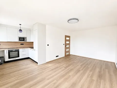 Pronájem bytu 1+kk, Praha - Záběhlice, Bramboříková, 42 m2