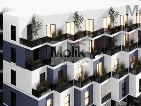 Prodej bytu 3+kk, Golem, 80 m2