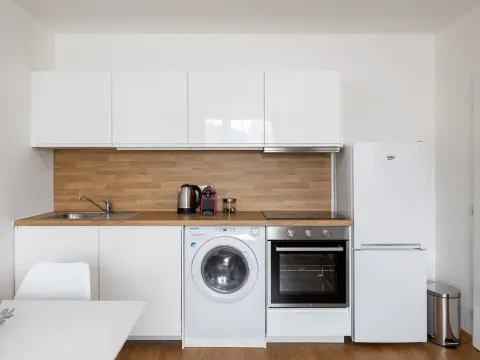 Prodej bytu 1+kk, Trmice, 20 m2