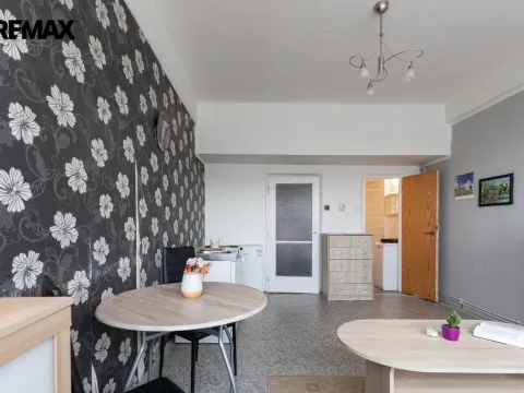 Prodej bytu 1+kk, Litvínov - Horní Litvínov, Koldům, 25 m2