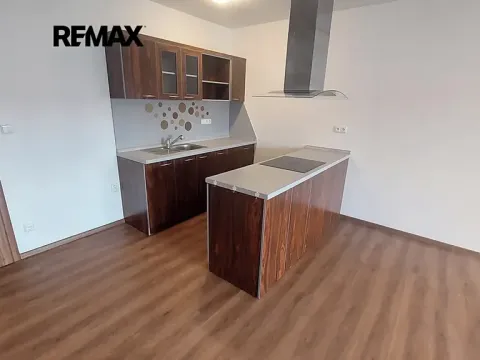 Pronájem bytu 1+kk, Slavkov u Brna, 53 m2