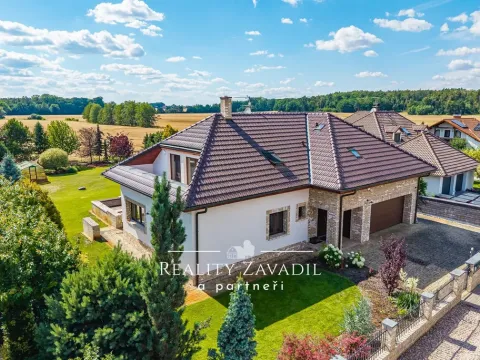 Prodej rodinného domu, Ráby, 475 m2