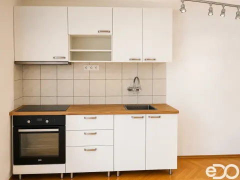 Pronájem bytu 1+1, Praha, Petra Rezka, 51 m2