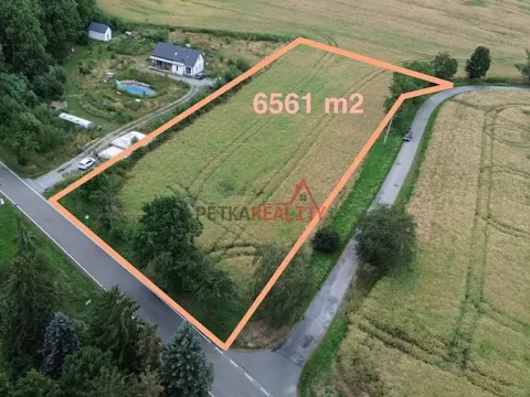 Prodej pozemku pro bydlení, Neustupov, 6561 m2