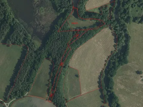 Prodej pozemku, Novosedly nad Nežárkou, 15643 m2