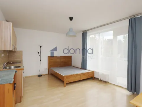 Pronájem bytu 1+kk, Praha, Vlasty Průchové, 33 m2