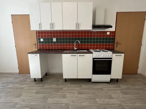 Pronájem bytu 1+1, Ostrava, Hájkova, 51 m2