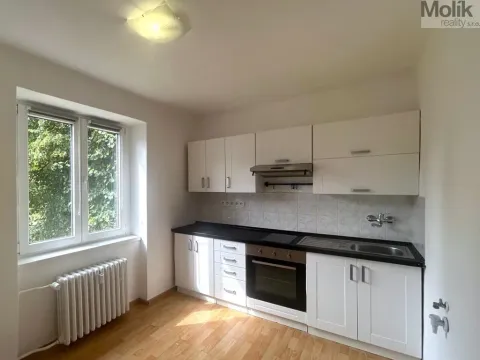 Pronájem bytu 1+1, Most, Lesní, 30 m2