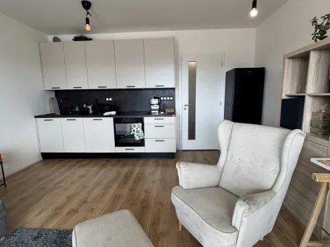 Pronájem bytu 1+kk, Beroun, U Židovského hřbitova, 29 m2