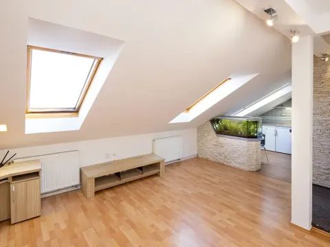 Pronájem bytu 2+kk, Opava, Mánesova, 48 m2