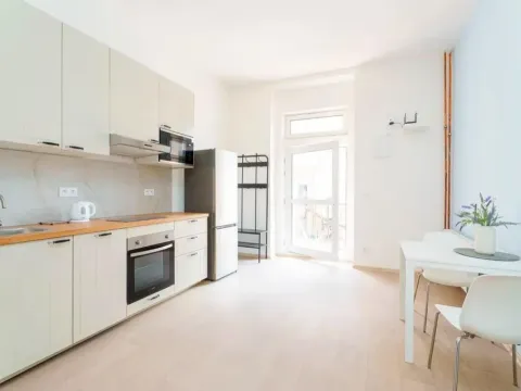 Pronájem bytu 1+kk, Planá, Karlín, 30 m2