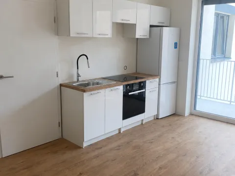 Pronájem bytu 1+kk, Brno, Křenová, 28 m2