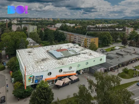 Pronájem obchodního prostoru, Frýdek-Místek, Frýdlantská, 75 m2