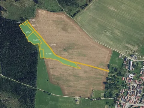 Prodej pole, Žďárná, 11618 m2