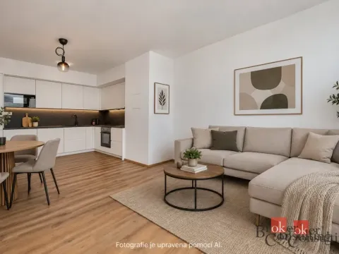 Pronájem bytu 2+kk, Plzeň - Jižní Předměstí, Železná, 66 m2