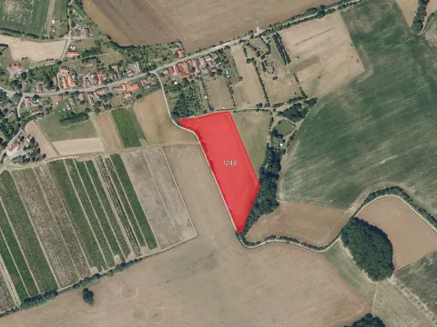 Prodej pole, Kraborovice, 8006 m2