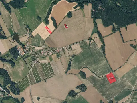 Prodej pole, Kraborovice, 8583 m2