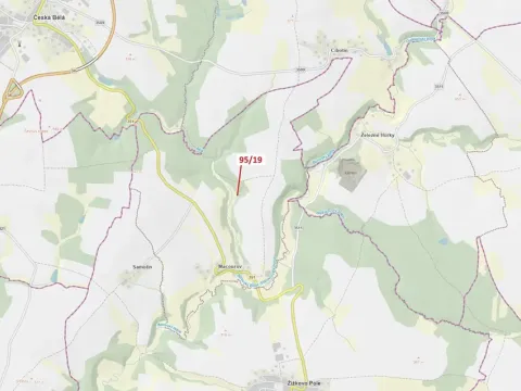Dražba lesa, Žižkovo Pole, 121 m2