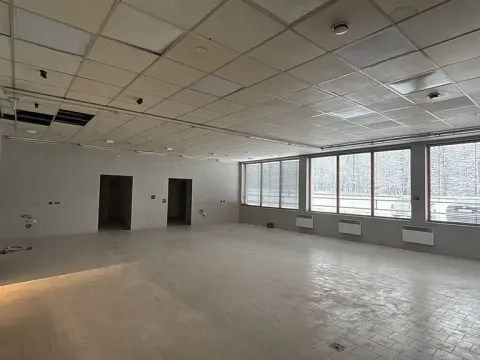 Pronájem obchodního prostoru, Velké Albrechtice, 180 m2