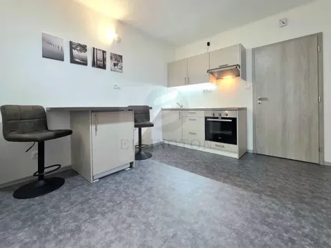 Pronájem bytu 1+kk, Ostrov - Horní Žďár, 29 m2