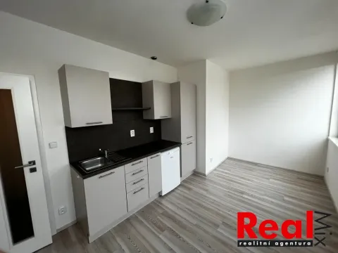 Pronájem bytu 1+kk, Brno - Veveří, Kounicova, 24 m2