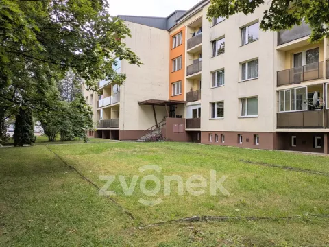 Prodej bytu 1+kk, Vsetín, Generála Klapálka, 22 m2